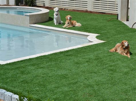 Pet Turf — Artificial Grass for Dogs & Pets 